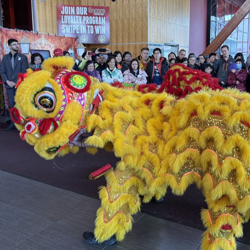 A yellow Lion Dance team performs in front of a small crowd. 